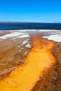 西缩略图 Geyser 流域黄石公园背景图片