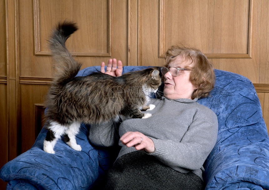 那个老太婆摸一只猫扶手中风老年祖母退休房子女士家畜宠物医学图片