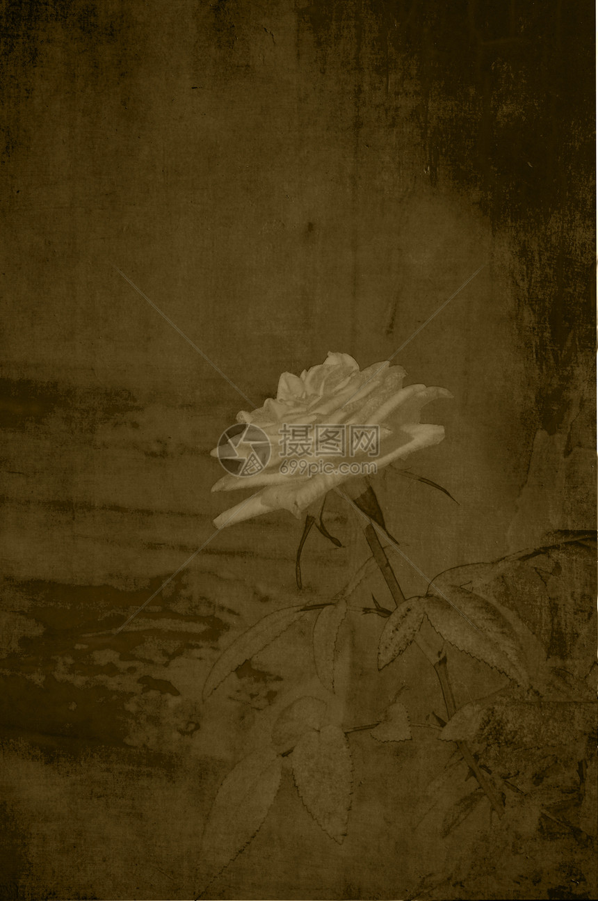 古金玫瑰创造力棕褐色乡村空白白色古董划痕艺术墙纸黑色图片