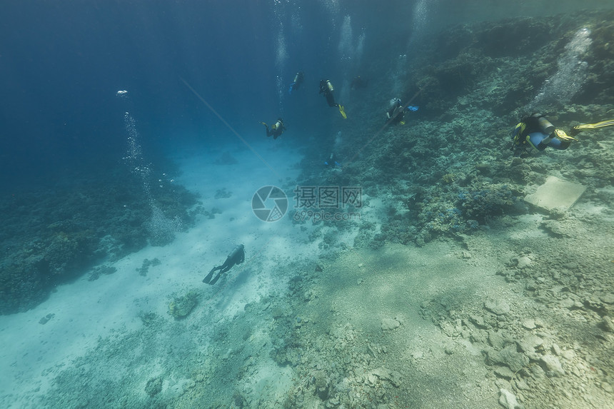 红海的斯库巴潜水员和热带珊瑚礁海洋潜水场景情调异国生活海景蓝色盐水阳光图片