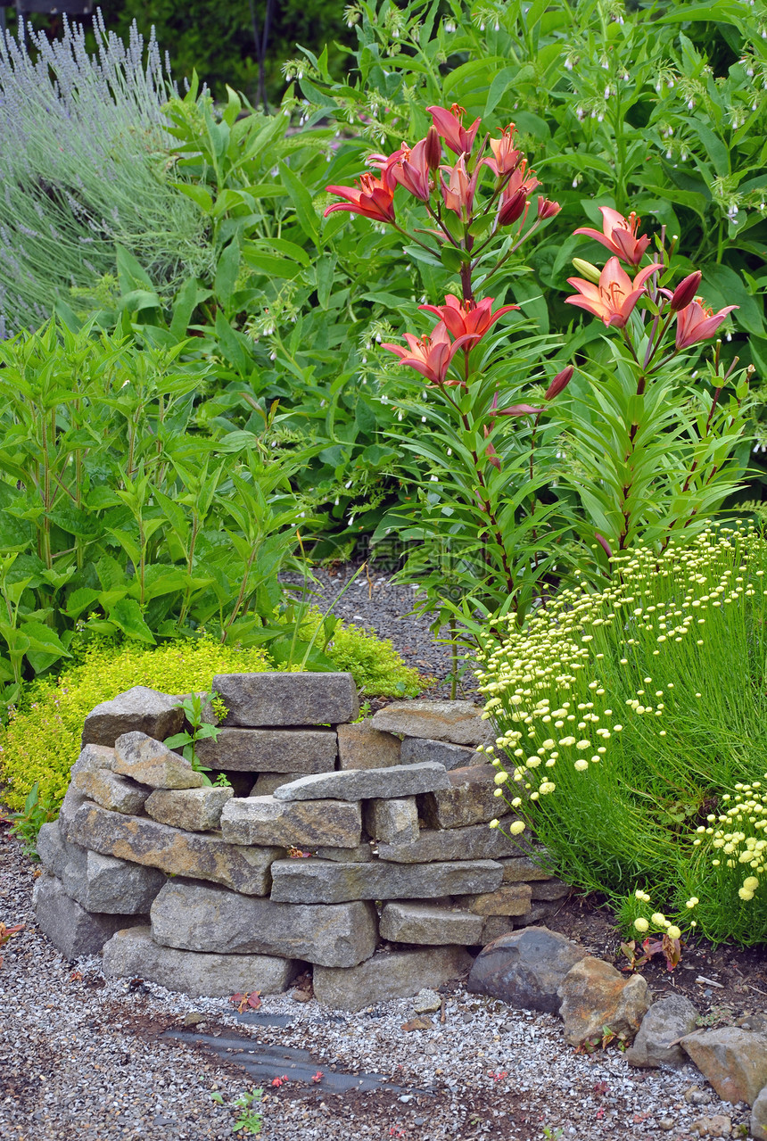 莉莉花园花朵花瓣播种机叶子树叶植物植物群园艺绿色砖块图片