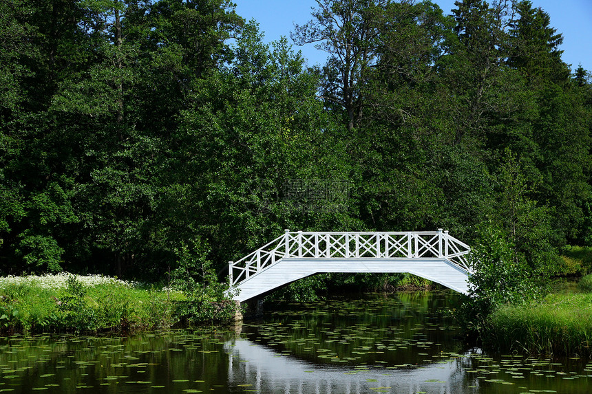 湖和桥绿色池塘森林小路旅游建筑学石头旅行白色图片