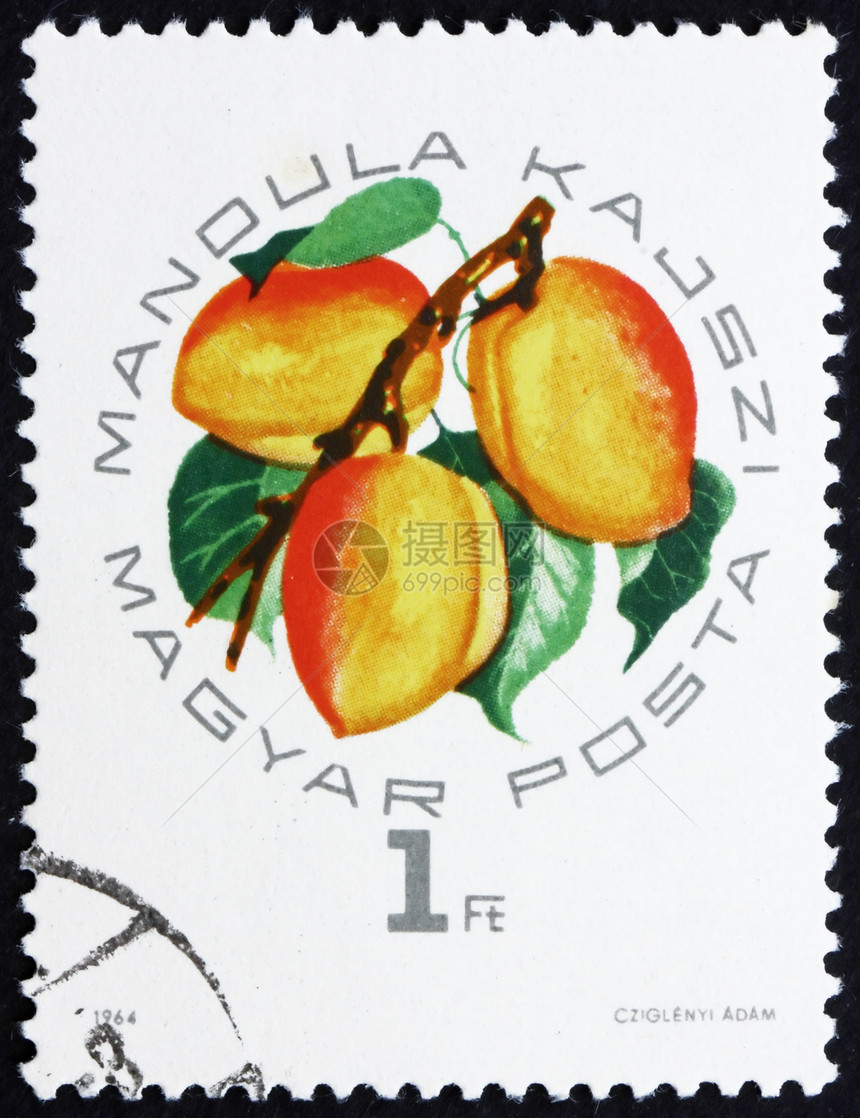 匈牙利邮戳 1964年图片