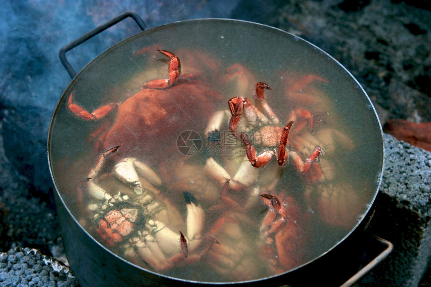 烹饪螃蟹动物爪子平底锅甲壳橙子红色海洋贝类国王餐厅图片