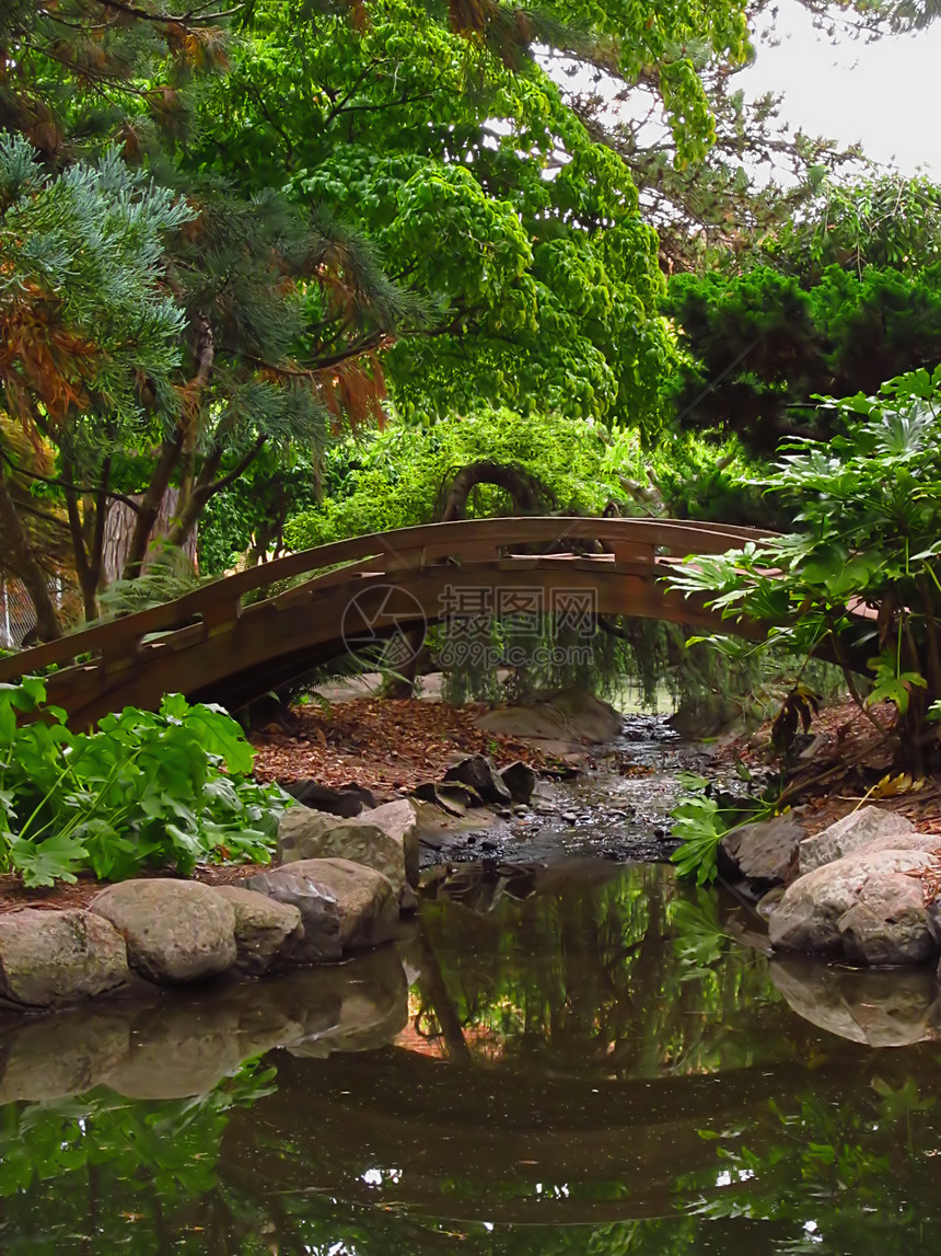 东方花园农村植物木头池塘水池花园绿地园丁公园植物学图片