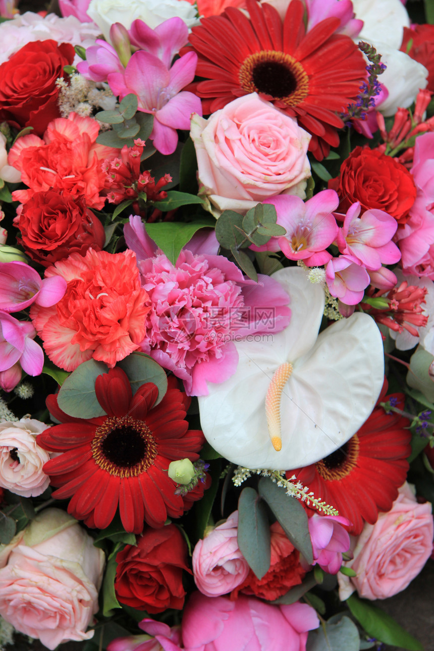 红和粉红色混合花卉安排玫瑰白色植物群绿色花束植物粉色花店花朵植物学图片