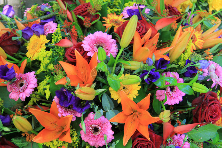 彩色的混合花卉安排绿色百合花店紫色橙子花瓣花朵植物植物群粉色图片