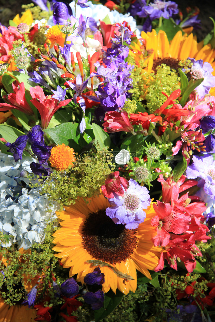 彩色混合花束植物群作品花店花瓣阵雨紫色花朵绿色植物白色图片