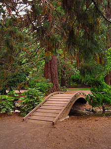 东方花园植物学园艺季节池塘绿化木头国家园丁农村植物背景图片