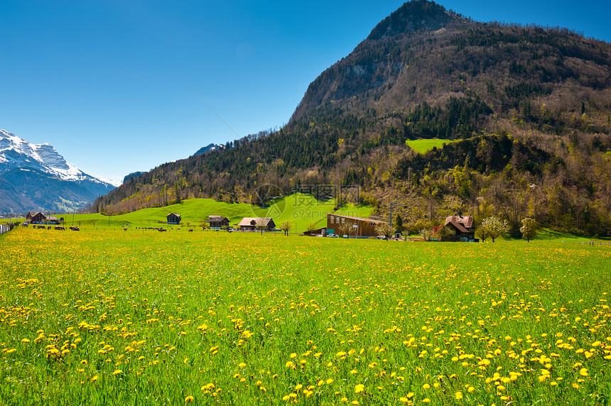 瑞士村场地高山高地植物天空国家村庄顶峰森林岩石图片