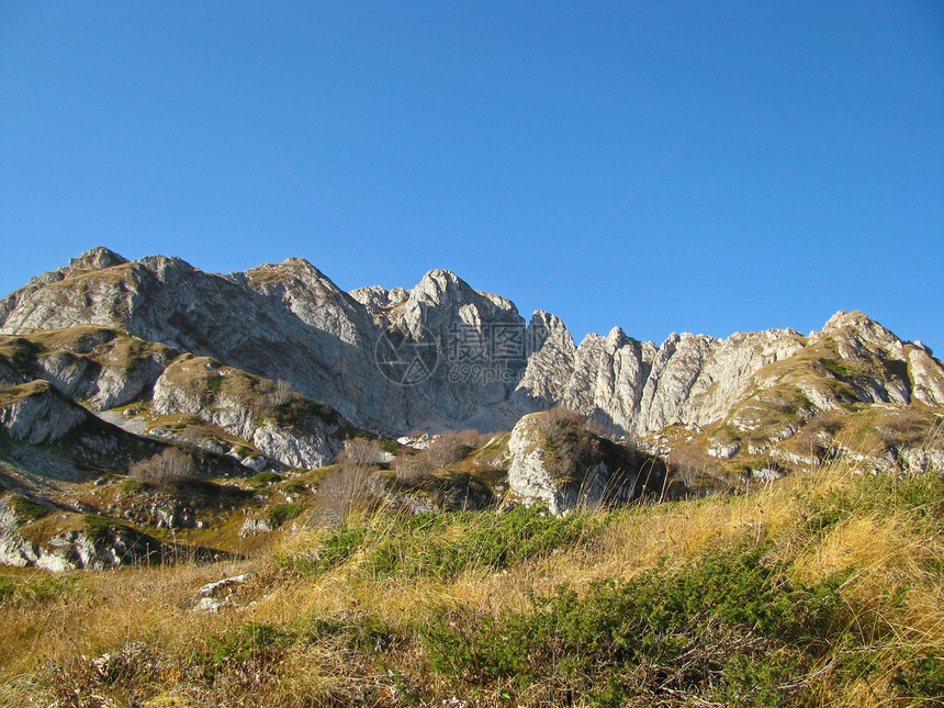 高加索山脉植物群高地木头路线石头植被爬坡冰川全景植物图片