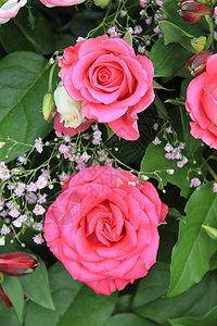 粉红玫瑰震撼花店植物粉色绿色植物群植物学花朵花束花瓣背景图片