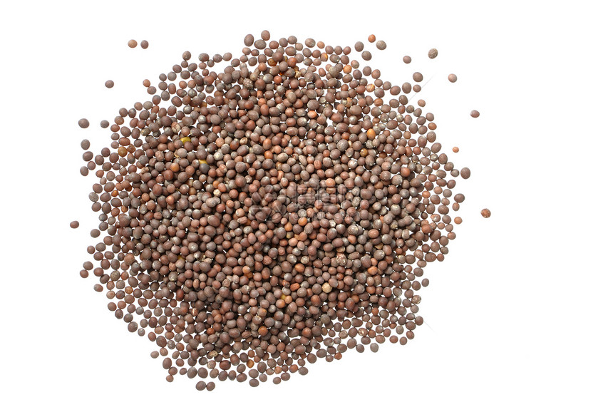 芥末种子食物草本植物芥菜棕色营养图片