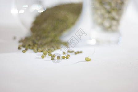 蒙砂玻璃健康绿豆高清图片