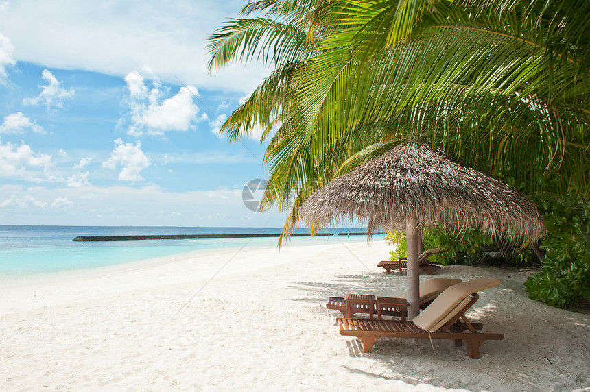 极端天堂阳伞蓝色太阳海岸海洋旅游情调支撑棕榈椰子图片