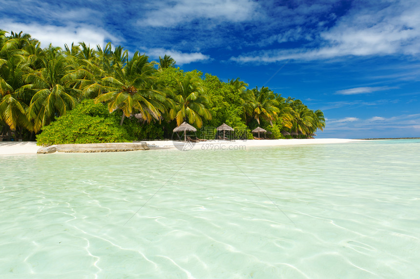 极端天堂棕榈热带假期植被风景树木椰子海岸海浪娱乐图片