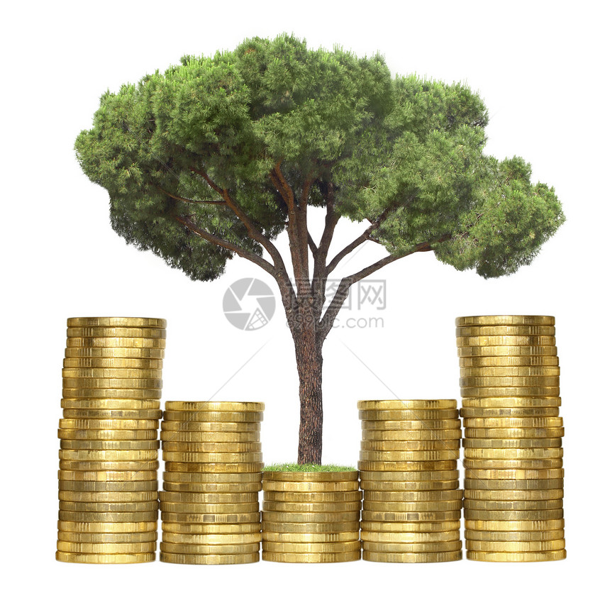 树木是用硬币生长的宝藏树苗针叶图表植物植物群环境绿色白色金子图片