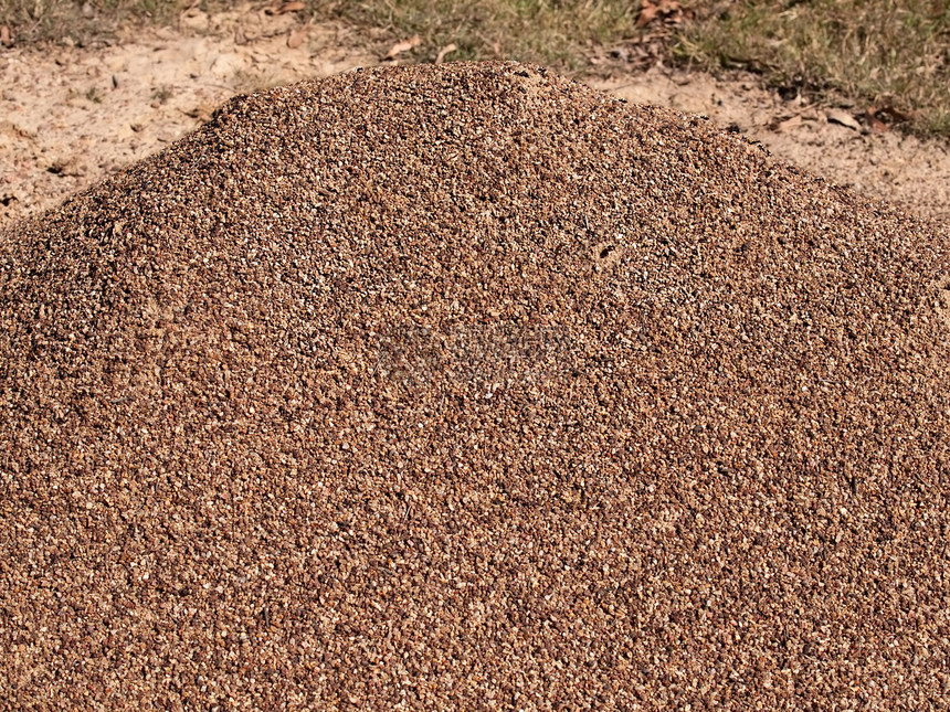 巨石岩卵石丘群蚂蚁巢图片