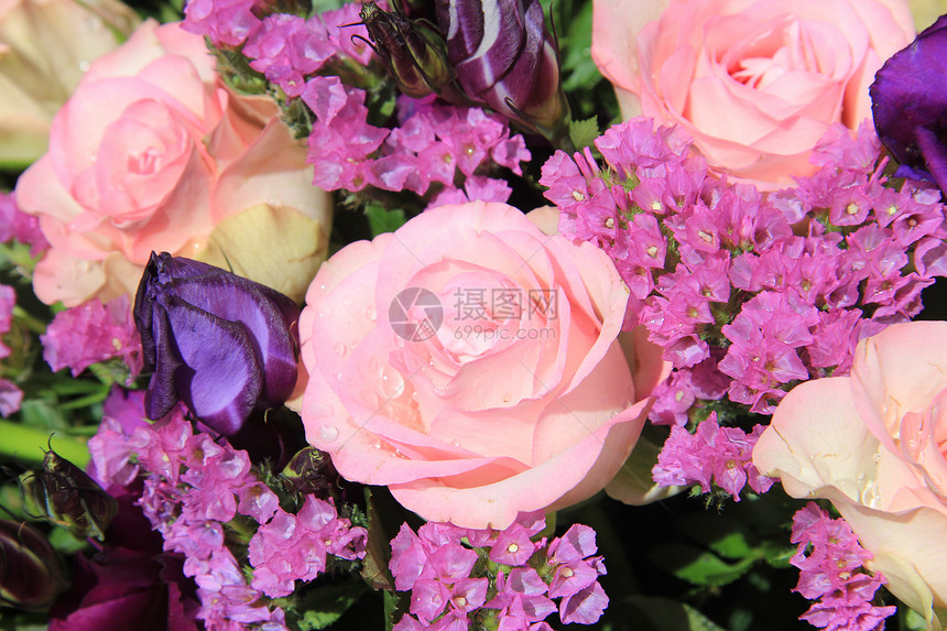 粉色和紫色花花安排植物群绿色玫瑰花束花店花朵植物学阳光花瓣植物图片