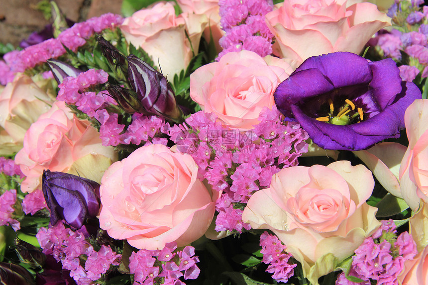 粉色和紫色花花安排阳光植物群花店花瓣植物学花朵绿色花束植物玫瑰图片