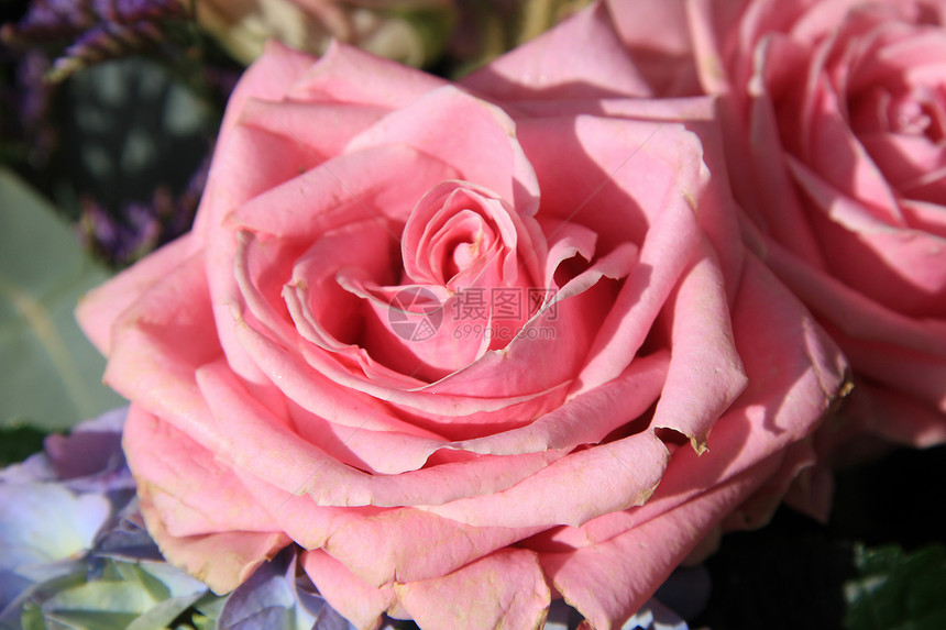 粉红玫瑰婚礼中心花束植物学花朵植物群花店绣球花玫瑰绿色植物花瓣图片