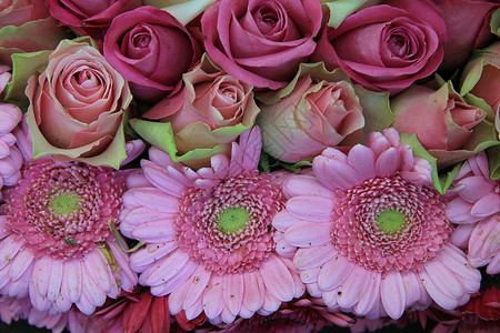 粉红婚礼花纹安排背景图片