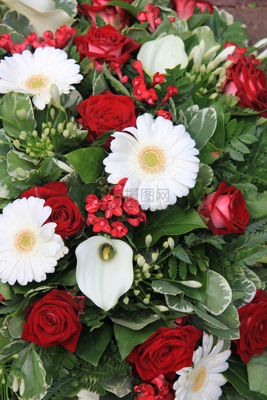 红花和白花安排花瓣花朵花店红色花束植物植物学玫瑰白色植物群图片