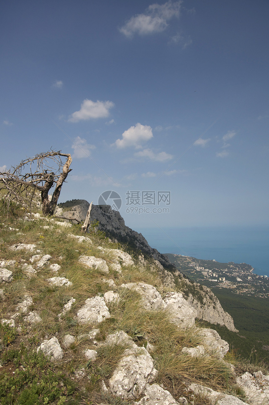 乌克兰的山地克里米亚山脉顶峰爬坡道环境松树蓝色天空远足晴天岩石图片