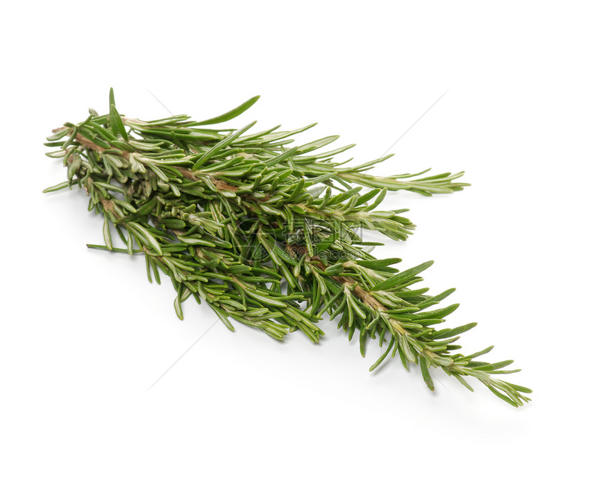 罗斯玛丽叶子迷迭香绿色香料草本植物植物健康饮食香味草药图片