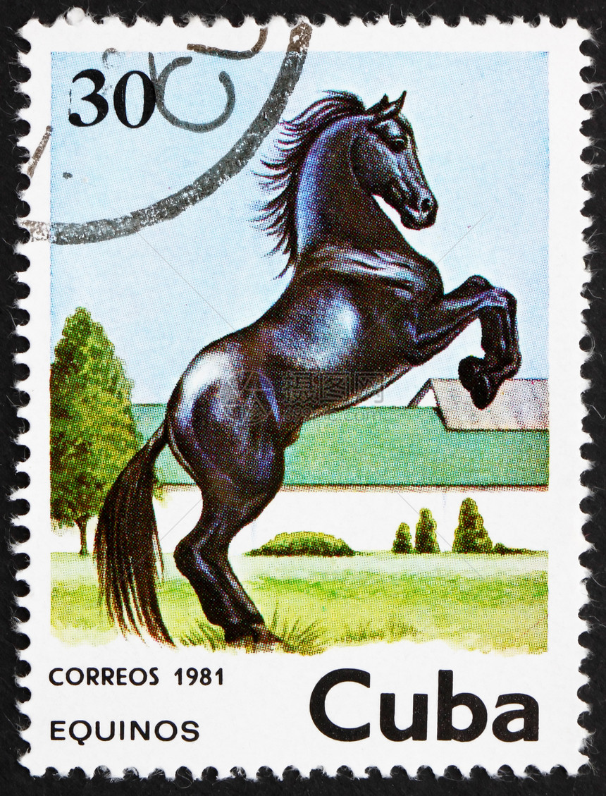 古巴 1981年 马船运邮政动物办公室邮资邮票爱好邮戳收藏邮件图片