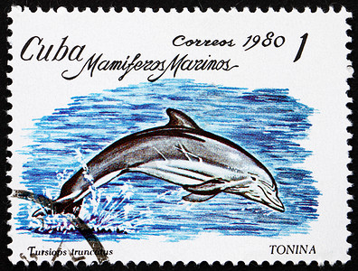 邮票古巴 1980 宽吻海豚背景图片