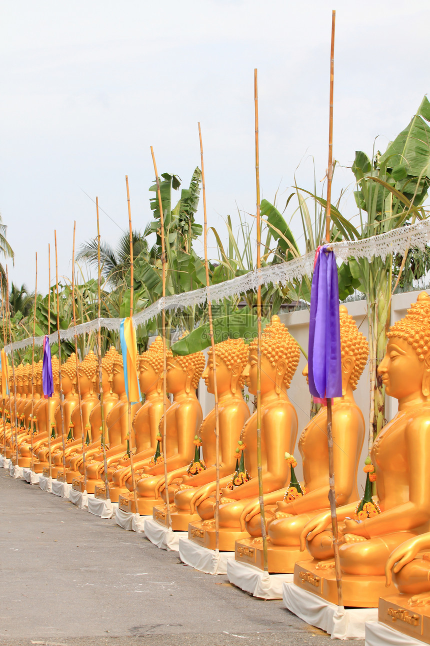 一排金佛像佛教徒文化雕塑宗教冥想旅行金子假期旅游纪念碑图片