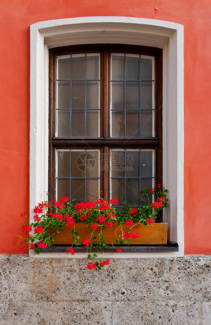鲜花住宅风格盒子植物学装饰窗户红色绿色房子框架图片