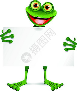 白板青蛙背景图片