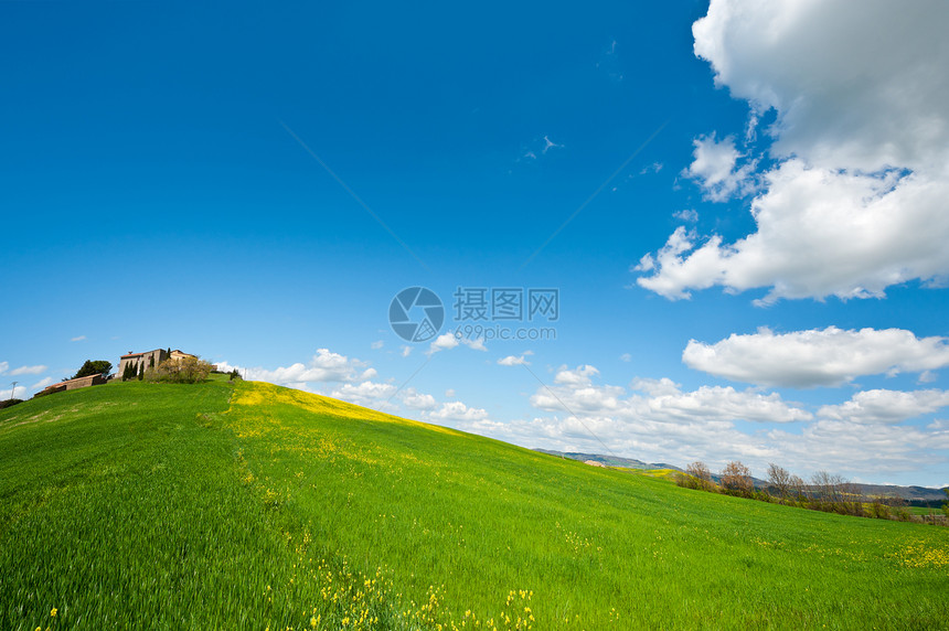 农庄园天空农村农场土壤小路农家爬坡小麦母猪阳光图片