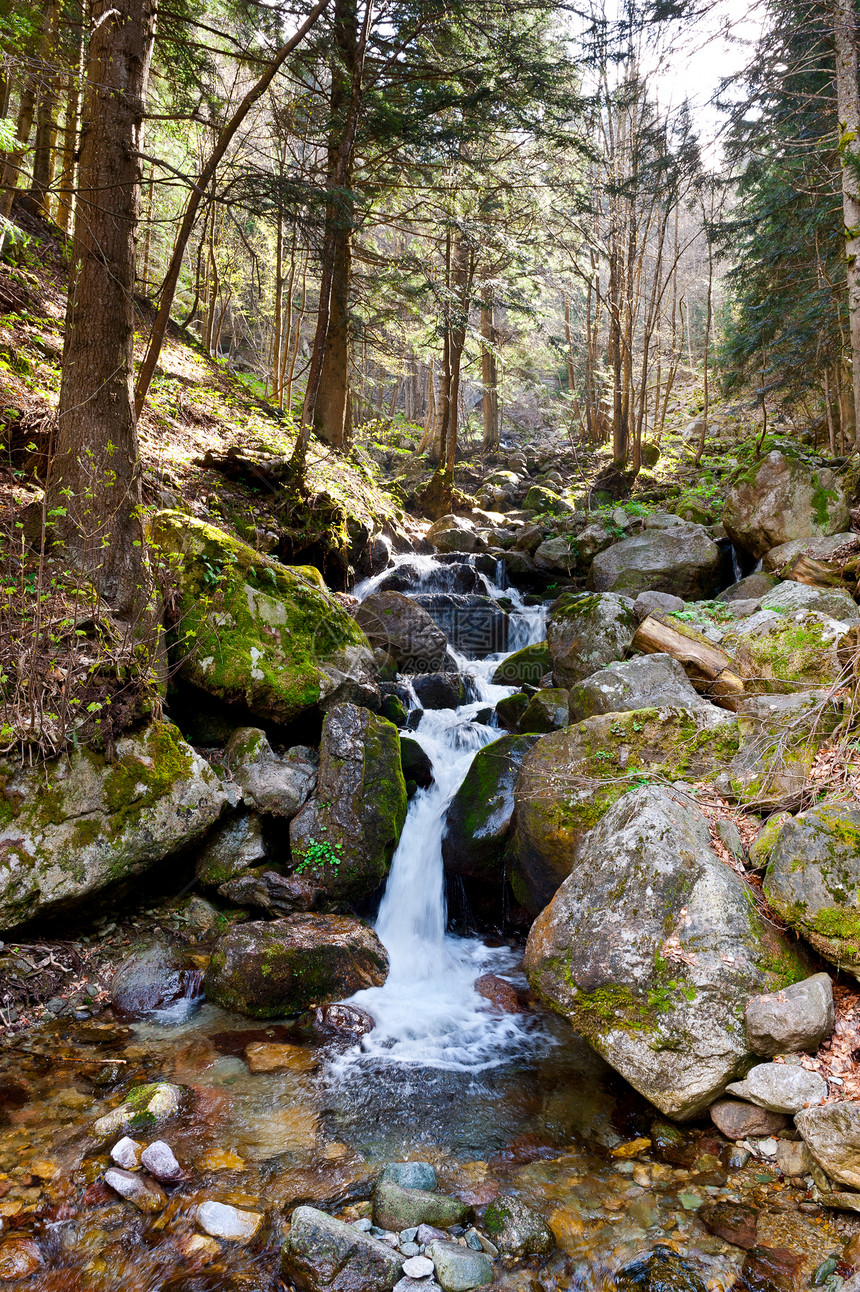 瀑布国家荒野运动环境石头森林流动植物生态岩石图片