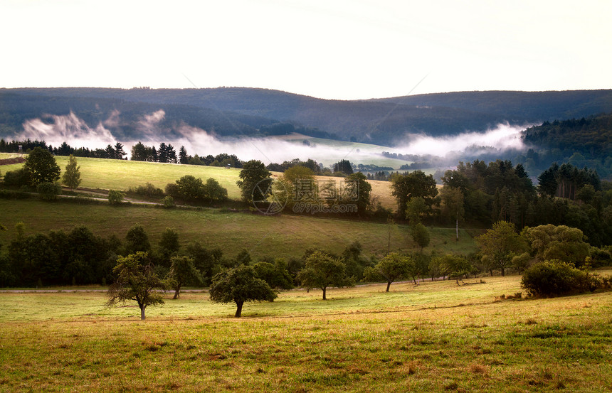 清晨在山中雾雾森林荒野草地地平线农村高山风景牧场场地远足图片