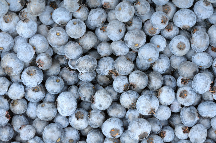 成熟蓝莓的背景背景水果蓝色浆果团体食物图片