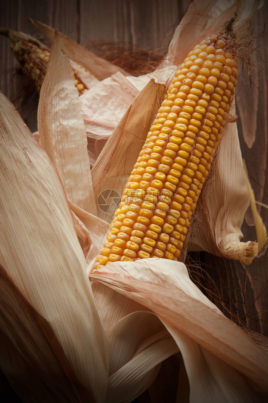 cob 蜘蛛农业黄色谷物收成食物蔬菜乡村木桌生物玉米图片