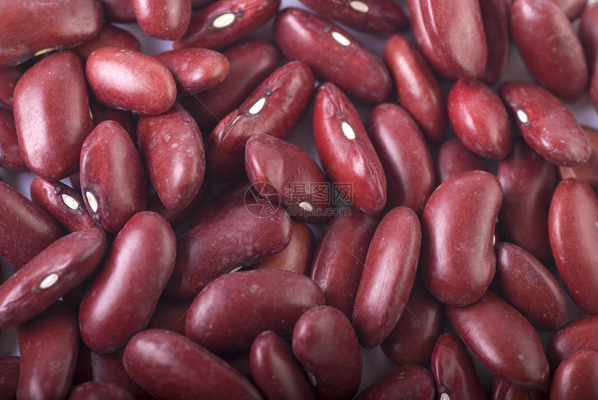 红豆食物栗色生长白色种子红色豆类图片
