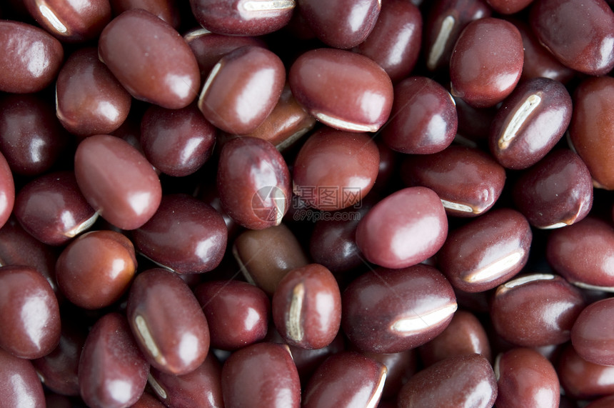 菜豆红栗色食物白色豆类红色种子生长图片