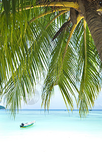 海滩沙滩假期气候海岸线旅行棕榈太阳闲暇阳光蓝色游泳高清图片