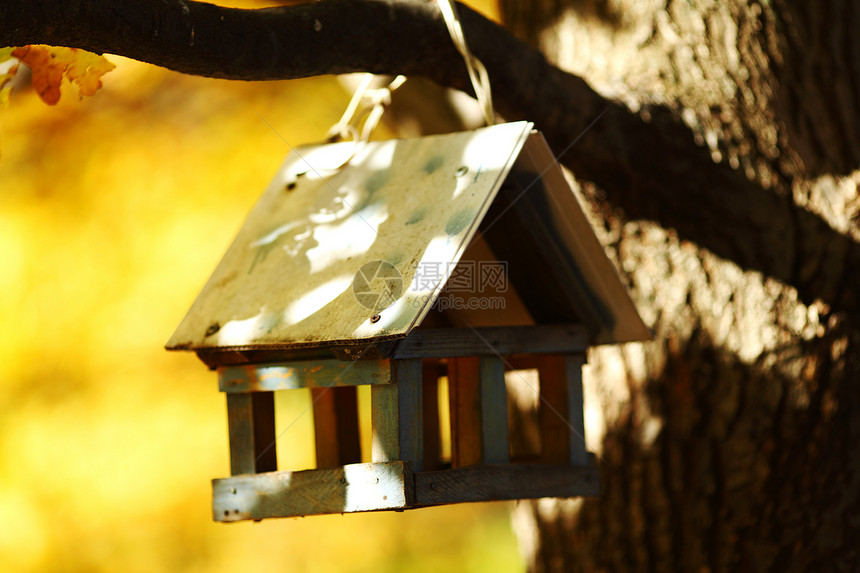 秋林中的鸟屋帮助房子天空木头巢箱庇护所花园盒子桌子森林图片
