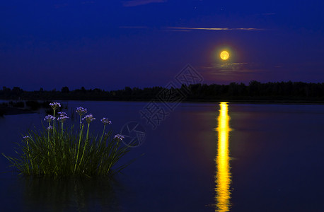 月光河流月亮月球之路沙滩背景图片