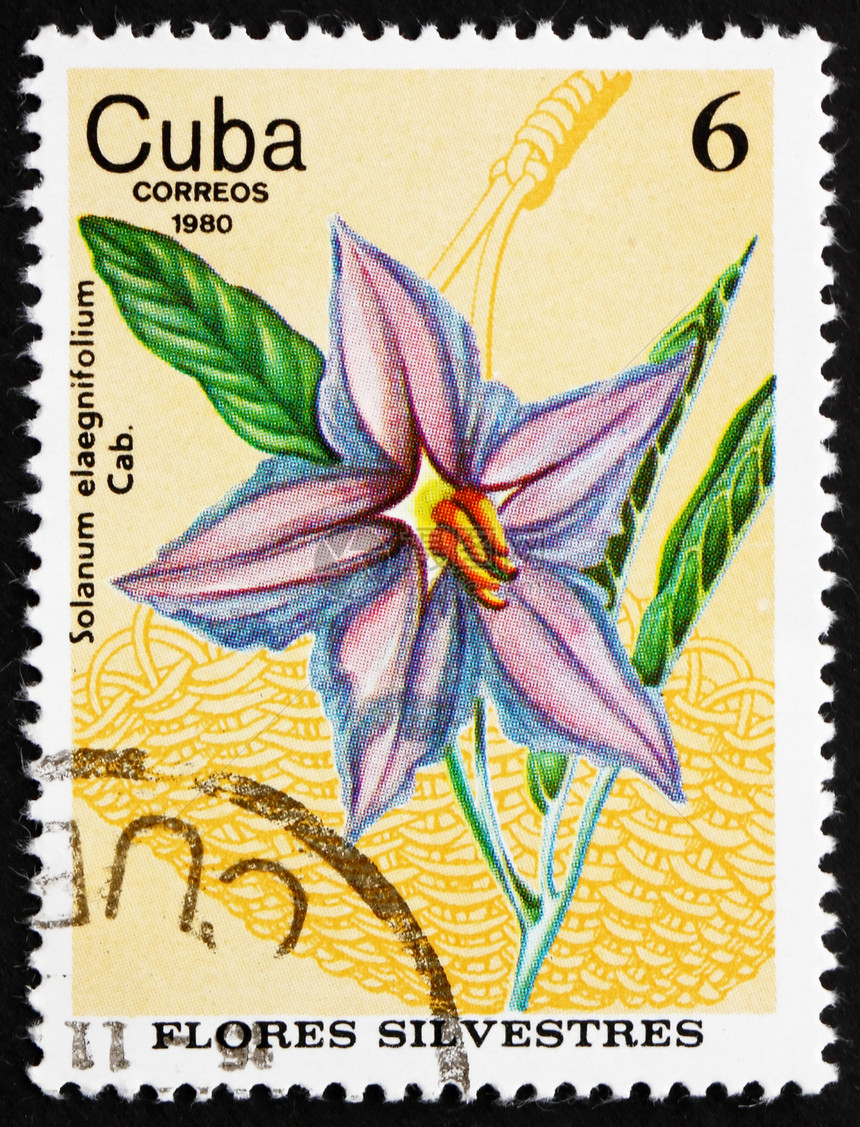 1980年古巴邮邮票 野花图片