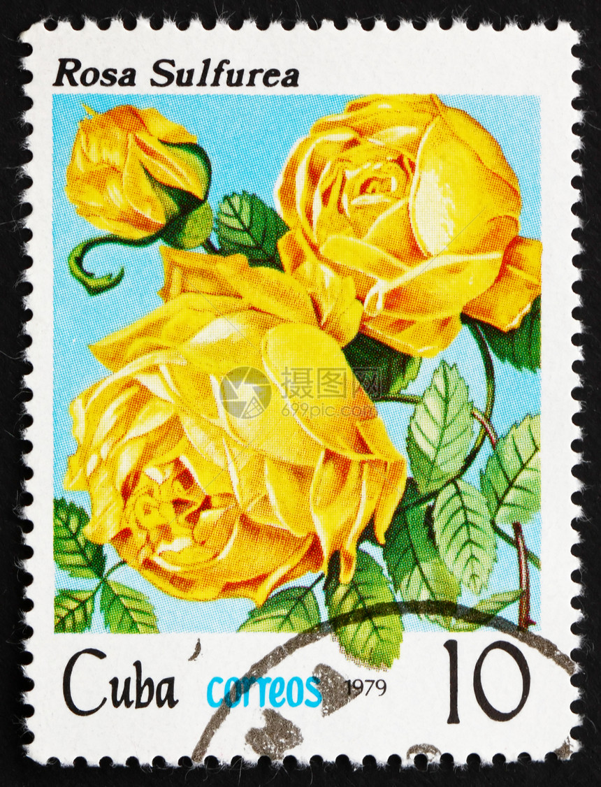 1979年古巴邮票玫瑰图片