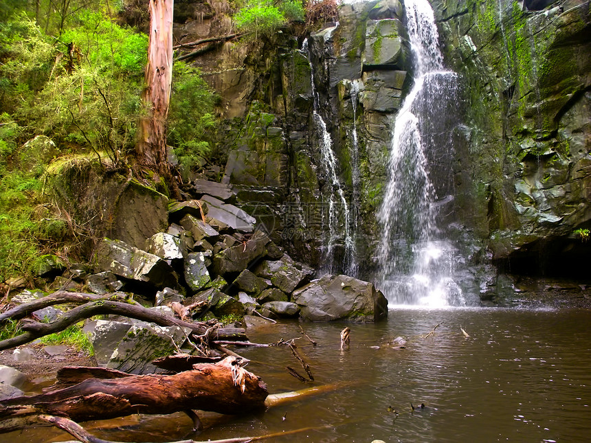 澳大利亚维多利亚州幻影瀑布绿地旅行风景盎司地形幽灵荒野场景环境地质学图片