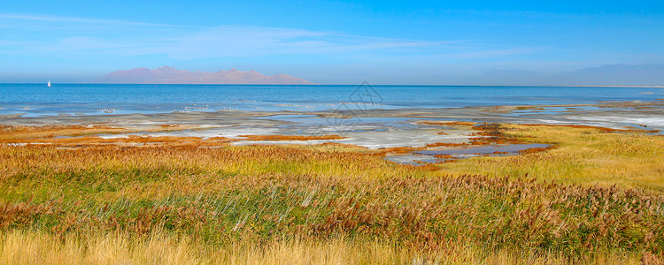 大盐湖州公园栖息地全景场景矿物质植物海岸线风景公寓盐度盐水背景图片