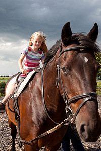 骑大马年轻女孩骑着棕色大马背景