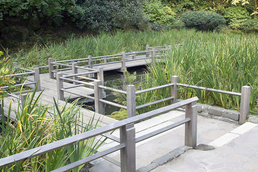 日本花园脚桥灌木花园蕨类公园树木植物岩石池塘图片